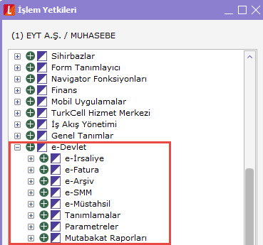 İşlem Yetkileri ekranı — e-Devlet alt başlıkları (e-İrsaliye, e-Fatura, e-Arşiv, e-SMM, Tanımlamalar, Parametreler, Mutabakat Raporları)